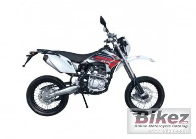 Pitster Pro XTR 250 Motard 2021