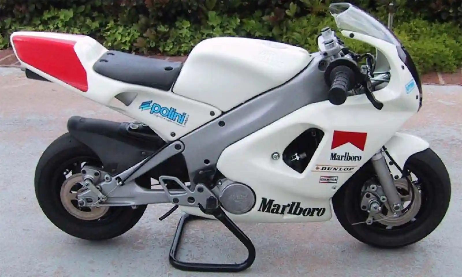 Polini 911 GP6 50 2011