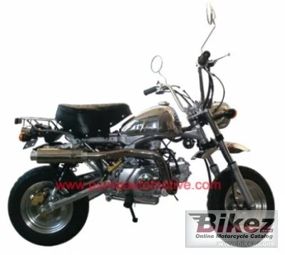 Puma Colibry Le Mans 125 2010