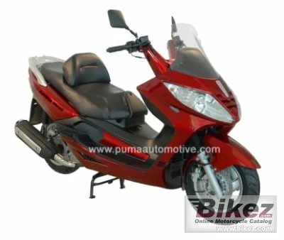 Puma Navona 250 2010