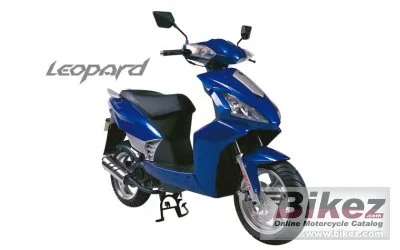Qingqi Leopard QM50T 8G 2010