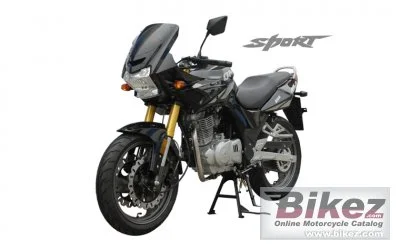 Qingqi Sport QM250 2D 2013
