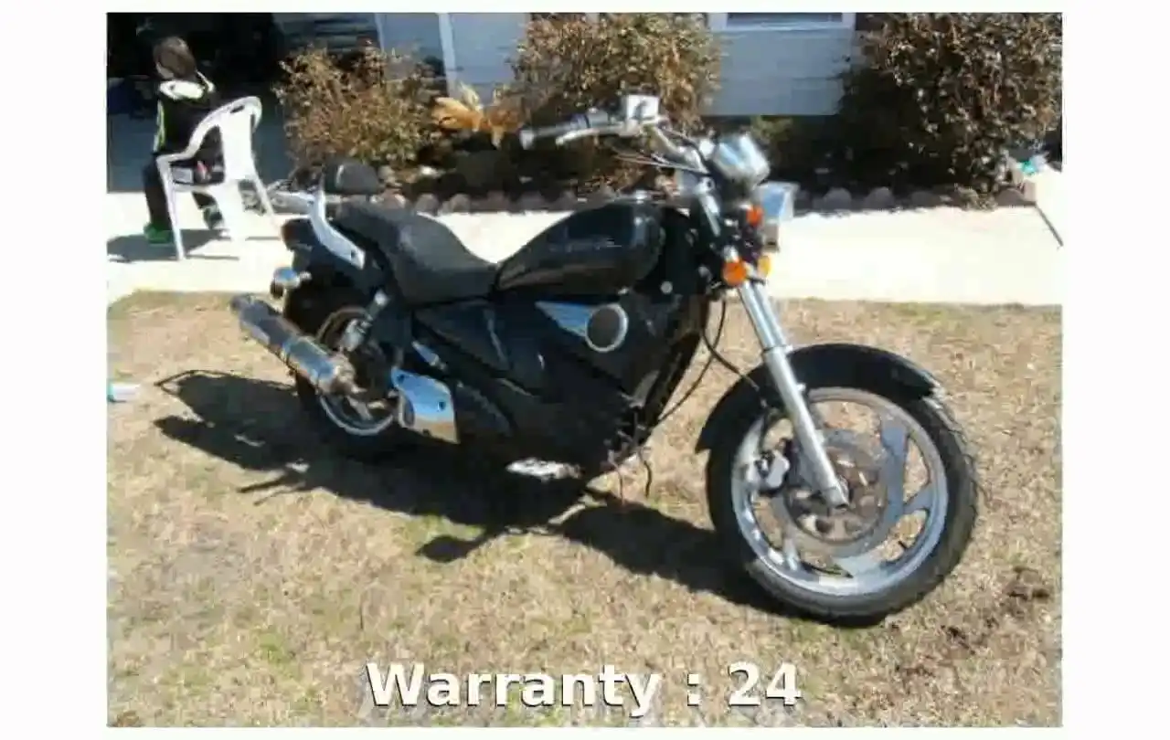 Qlink Legacy 250 2010