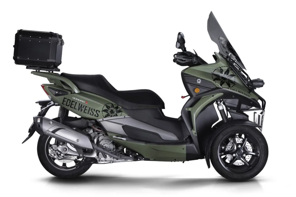 Quadro 3 Edelweiss 2019