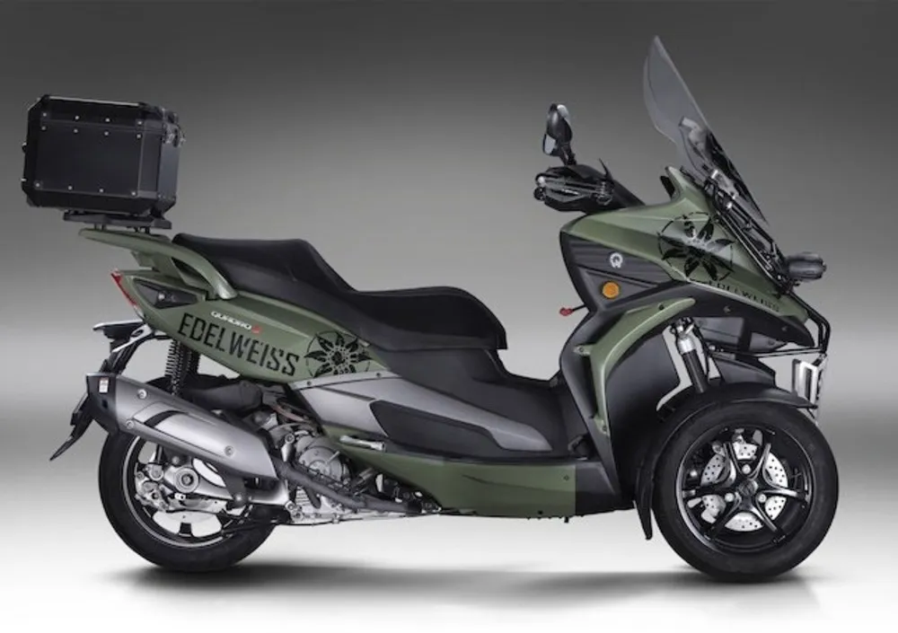 Quadro QV3 2019