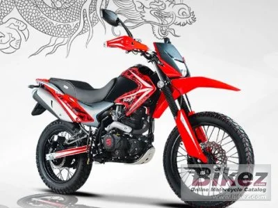 Raybar Dragon 250 2020