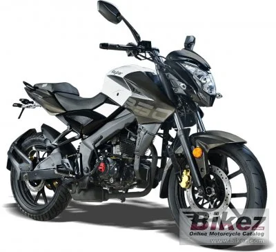 Raybar Drifter 250 2022