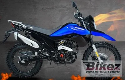 Raybar Fuego 200 2020