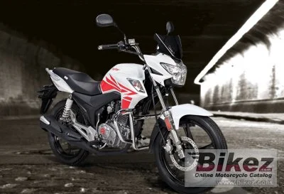Raybar Striker 150 2020