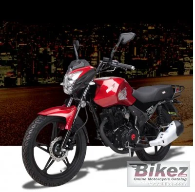 Raybar Zorro 150 2020