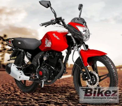 Raybar Zorro 150 2021