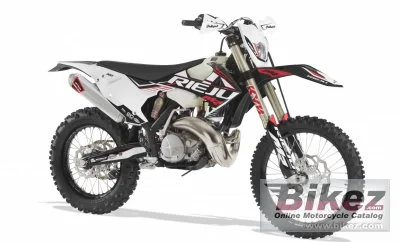 Rieju MR 300 Racing 2023