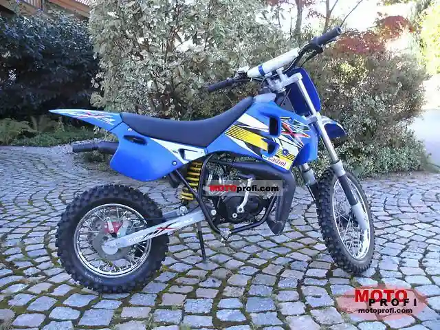 Rieju MX 50 Disk 2006