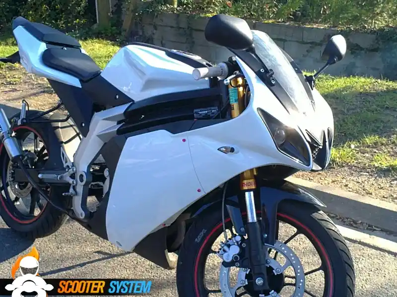 Rieju RS3 50 2011