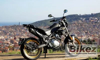 Rieju Tango 125I Scrambler 2023