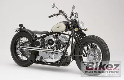 Road Hopper Type 2 2009