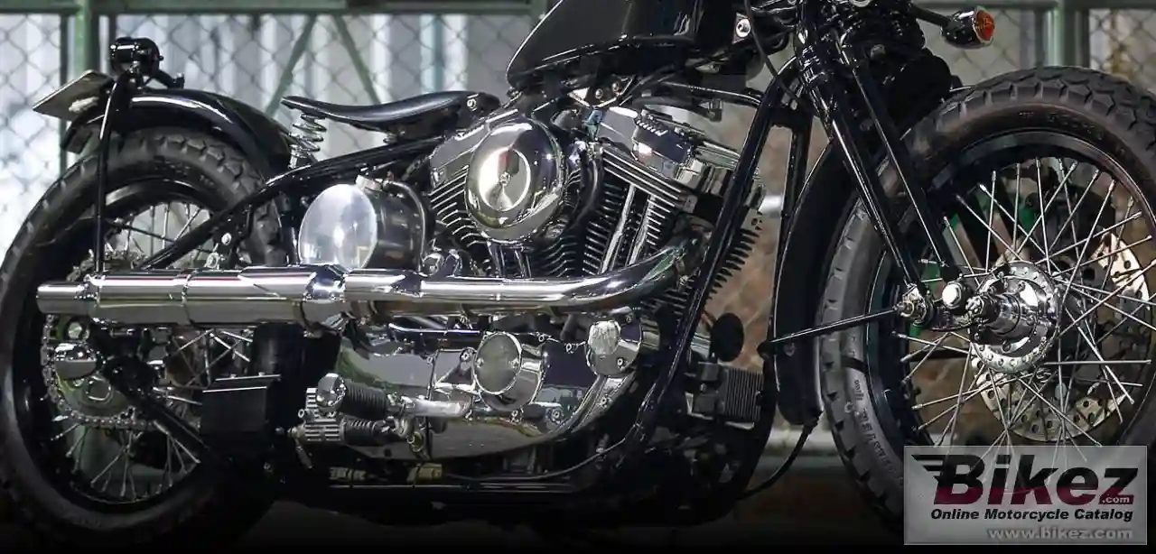 Road Hopper Type 2I 2023