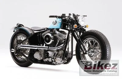 Road Hopper Type 5 2009