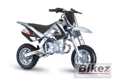 Roxon P One 10 10 2008