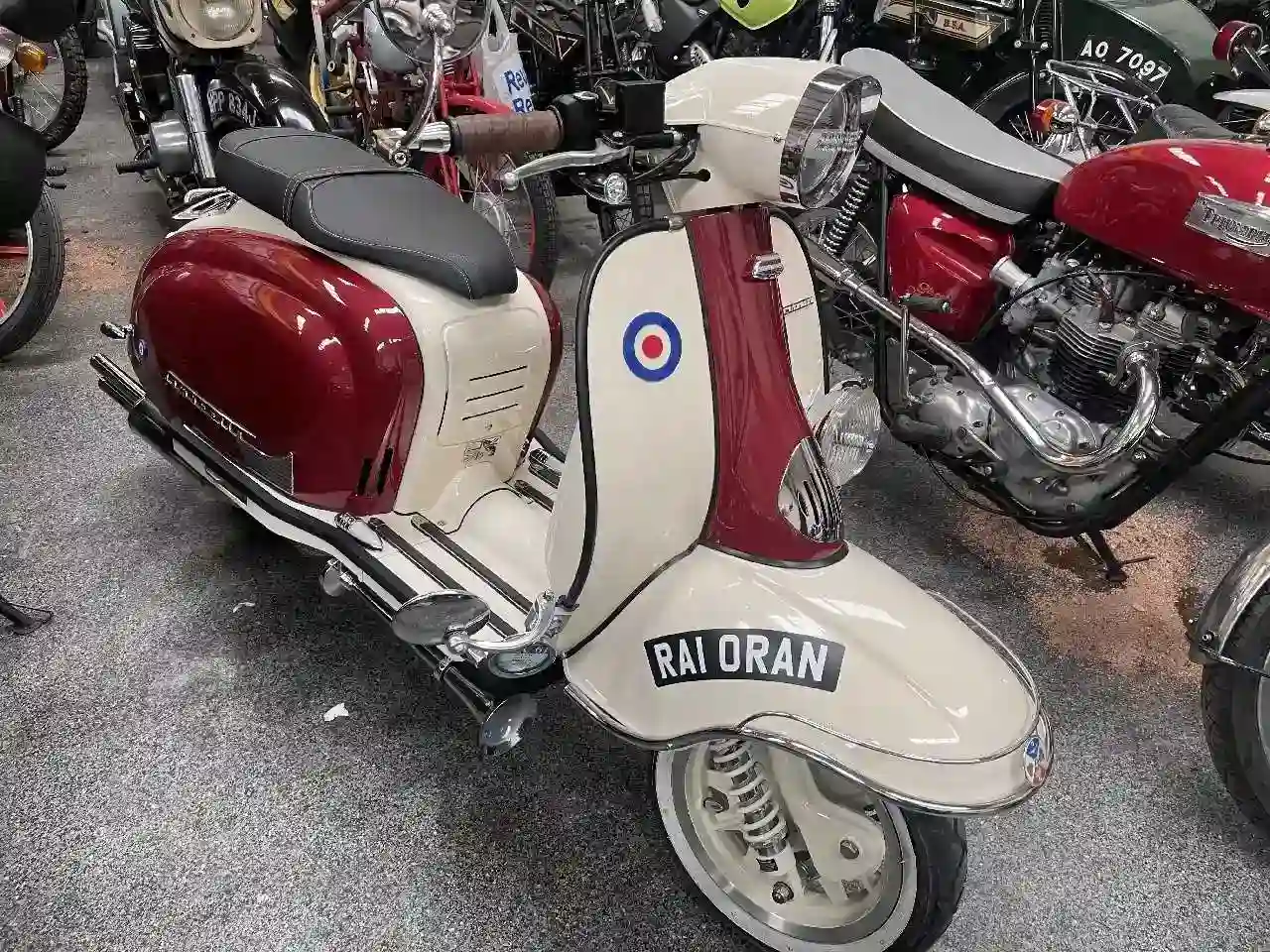 Royal Alloy TG 300 2021