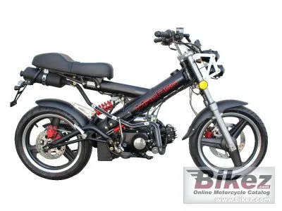 Sachs Madass 50 2013
