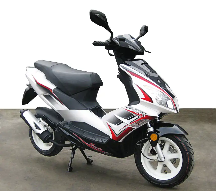 Sachs Speedjet R 2011