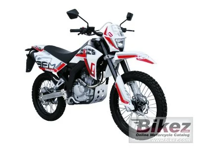 Sachs ZX 125 Enduro 2013