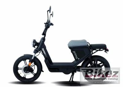 Saxxx Prima E 2021