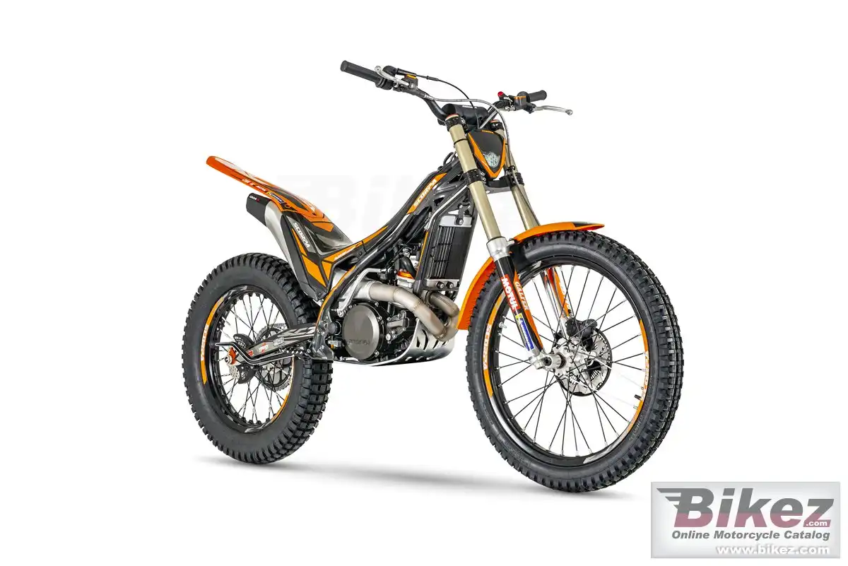 Scorpa 125 Factory 2022