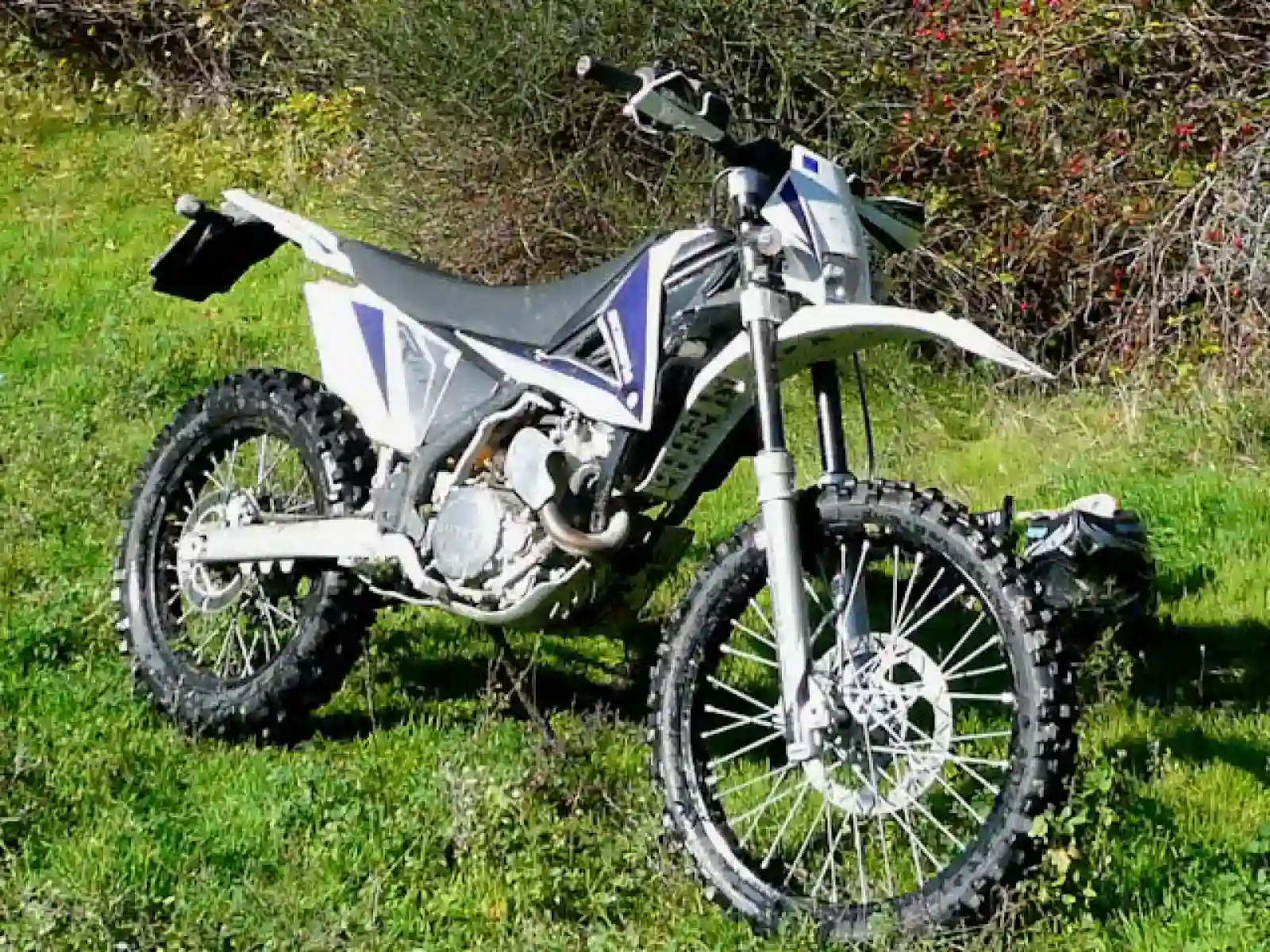 Scorpa SY 125FR 2008