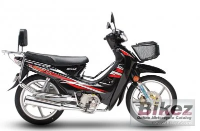 Senke SK110 A 2021