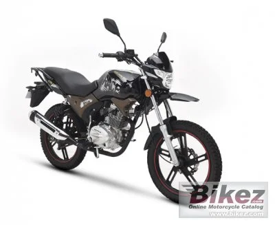 Senke SK150 20 2021