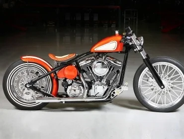 Sucker Punch Sallys Slim 2015