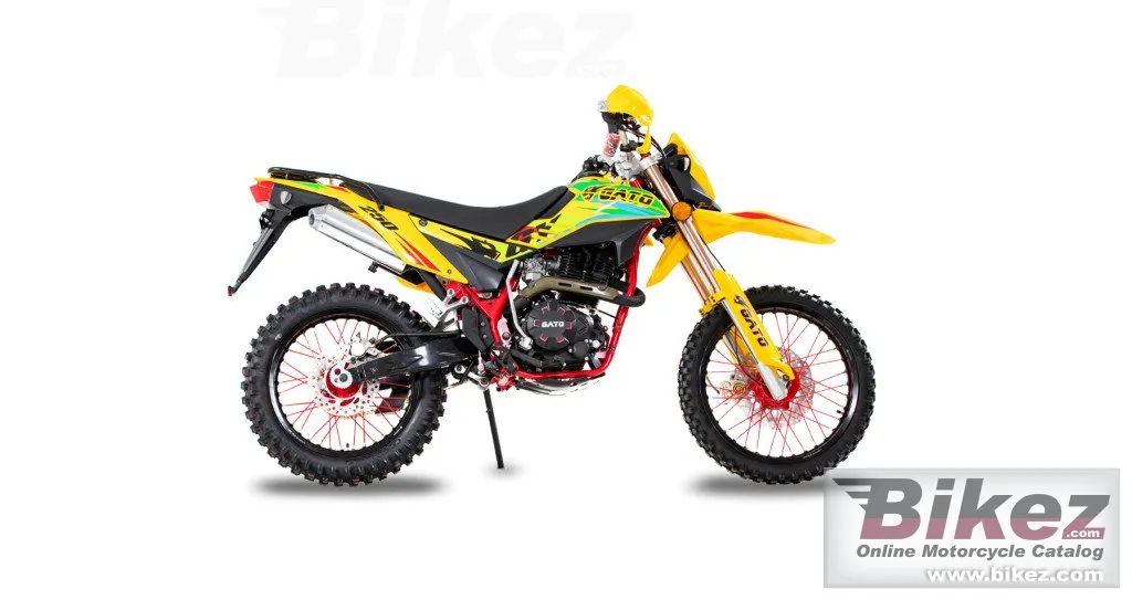 Super Gato GY 250 2022