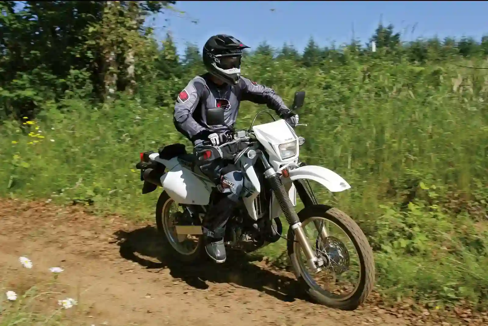 Suzuki DR Z400S 2010
