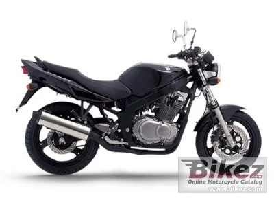 Suzuki GS 500 2016