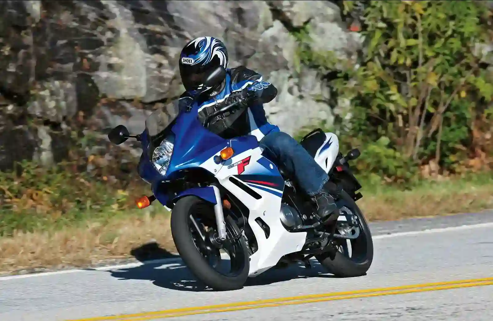 Suzuki GS500F 2010