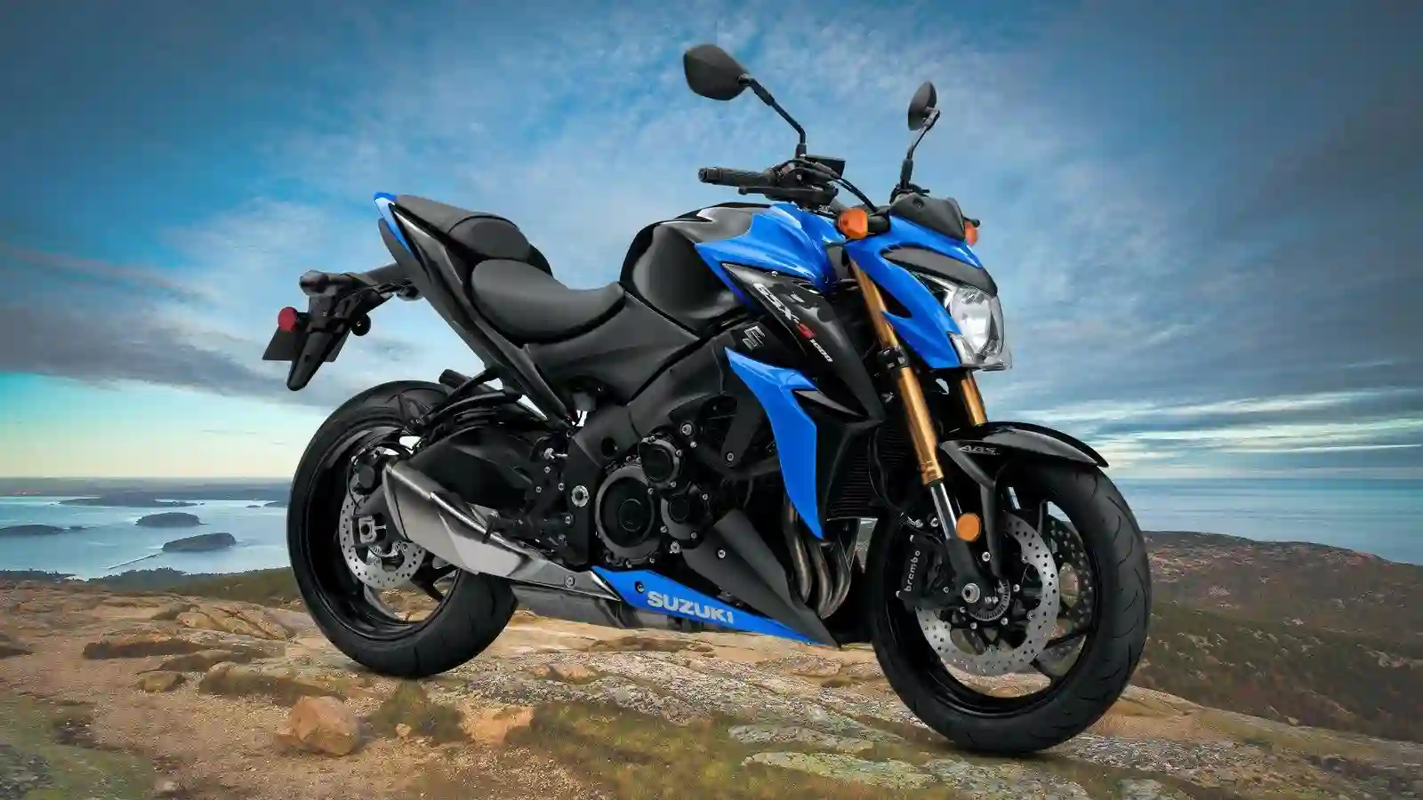 Suzuki GSX S1000 2018
