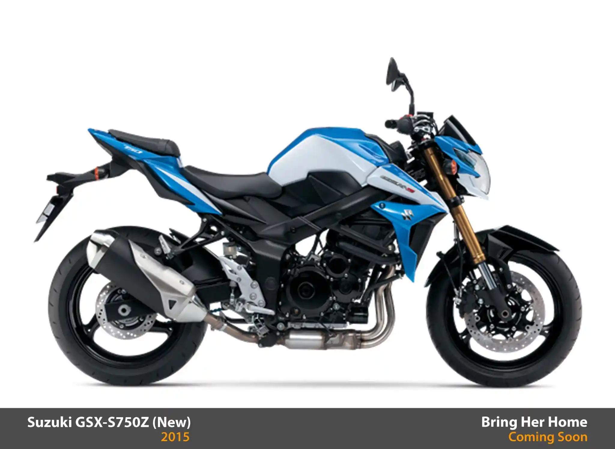 Suzuki GSX S750Z 2015