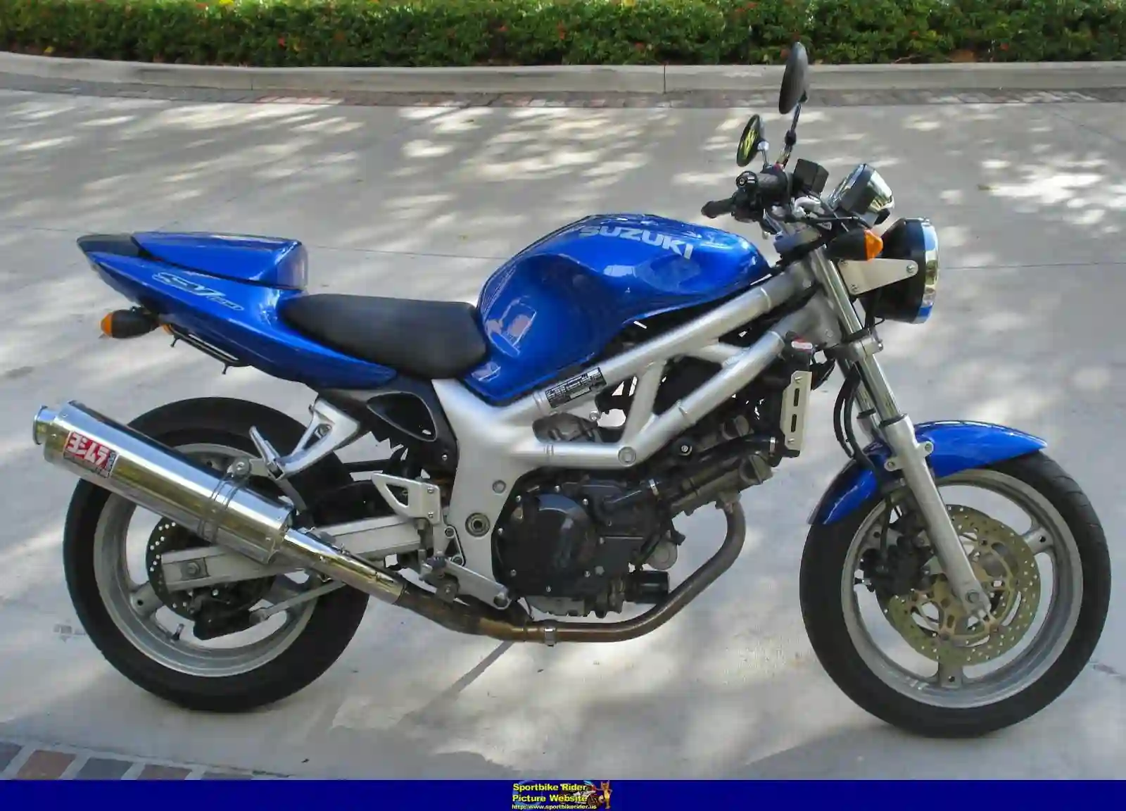 Suzuki SV 650 2001