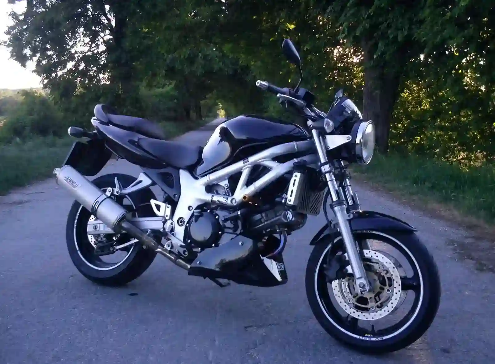 Suzuki SV 650 S 2002
