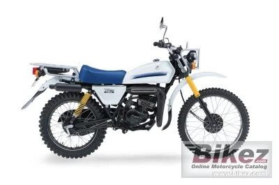 Home 2 Suzuki TF125 2018
