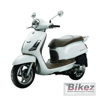 Sym Fiddle 50 2012