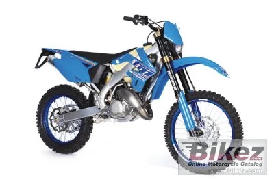 TM Racing EN 144 2010