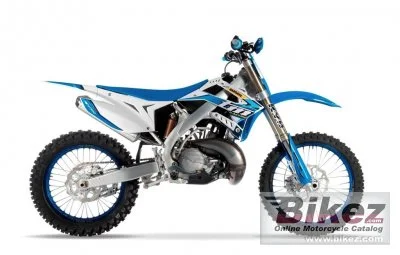 TM Racing MX 300 ES 2T 2020