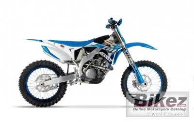 TM Racing MX 300 Fi 4T 2020