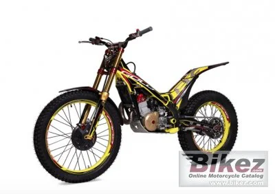 TRS Gold 250 2021