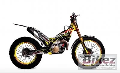 TRS Gold 300 2021