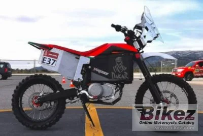 Tacita T Race R 2019