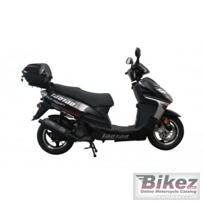 Tao Motor Evo 50 2022